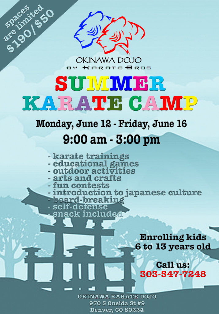 Summer Karate Camp (kids 6 – 13 years old) « Okinawa Karate | Denver ...